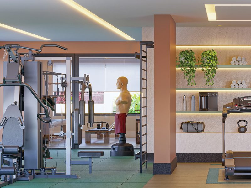 aurea nova petropolis espaço fitness