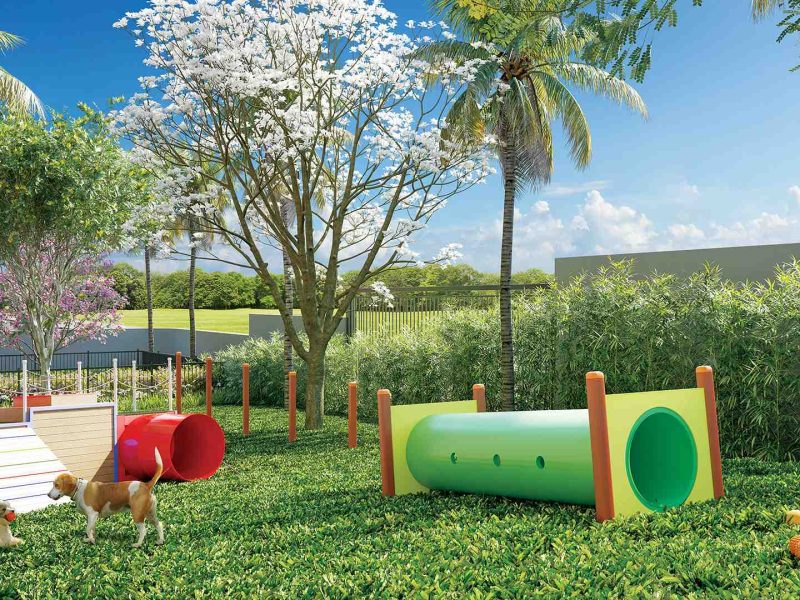 aurea nova petropolis pet place