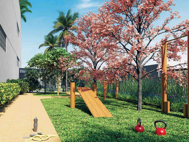 aurea nova petropolis pista de caminhada