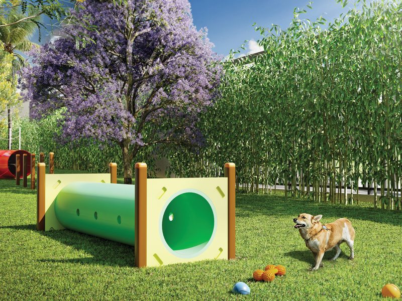 epic-nova-petropolis perspectiva artistica pet place